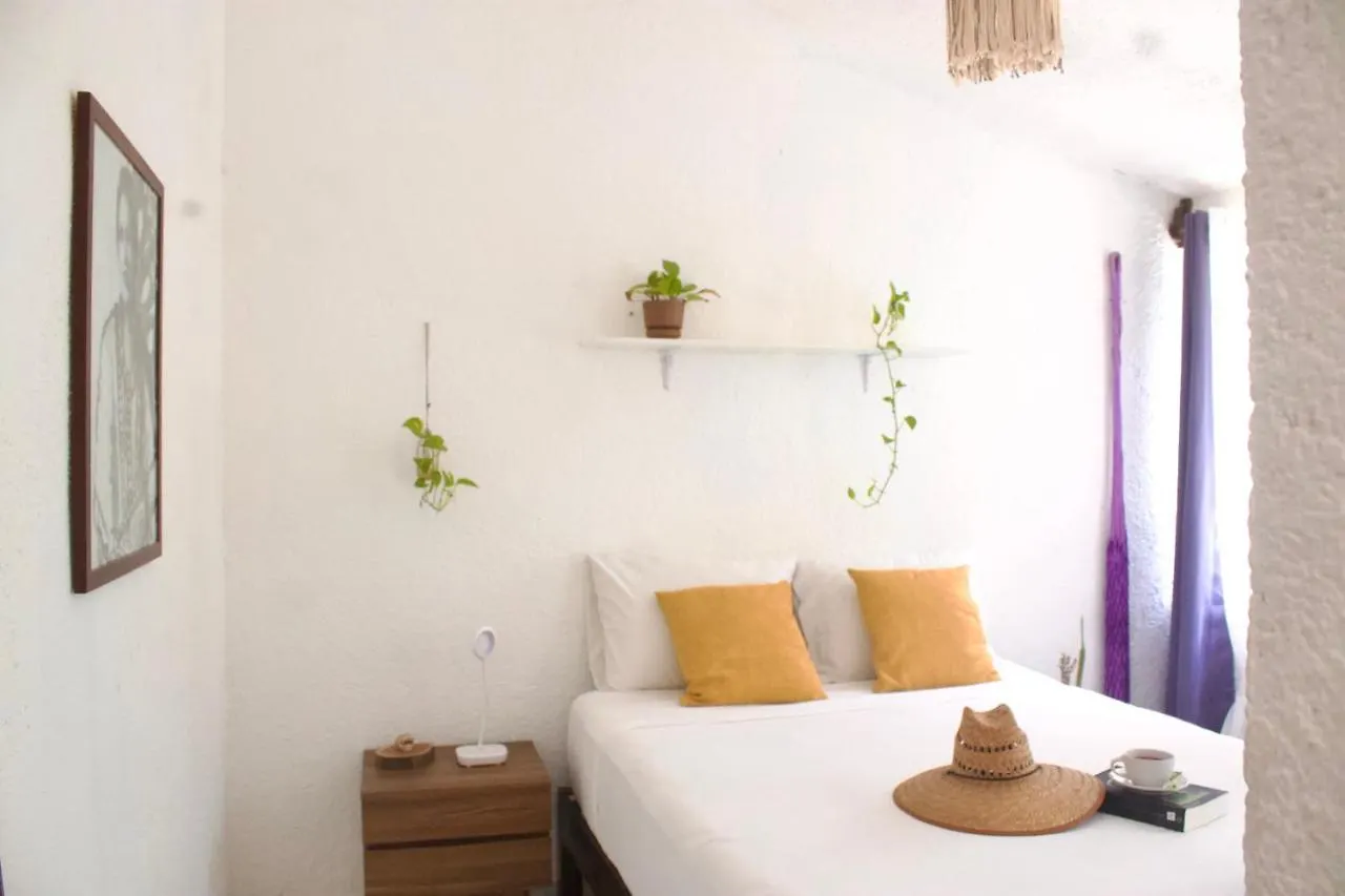 Casa del Artista - B&B Playa del Carmen Messico